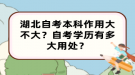 湖北自考本科作用大不大？自考學(xué)歷有多大用處？