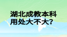 湖北成教本科用處大不大？