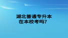 湖北普通專升本在本?？紗?？