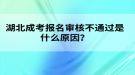 湖北成考報(bào)名審核不通過是什么原因？