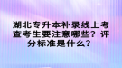 湖北專升本補(bǔ)錄線上考查考生要注意哪些？評(píng)分標(biāo)準(zhǔn)是什么？