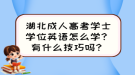 湖北成人高考學(xué)士學(xué)位英語怎么學(xué)？有什么技巧嗎？