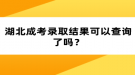 湖北成考錄取結(jié)果可以查詢了嗎？