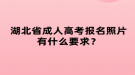 湖北省成人高考報名照片有什么要求？