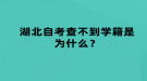 湖北自考查不到學(xué)籍是為什么？