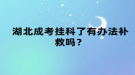 湖北成考掛科了有辦法補(bǔ)救嗎？