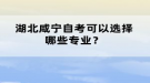 湖北咸寧自考可以選擇哪些專業(yè)？