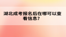 湖北成考報(bào)名后在哪可以查看信息？