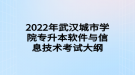 2022年武漢城市學(xué)院專升本軟件與信息技術(shù)考試大綱