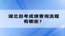 湖北自考成績查詢流程有哪些？