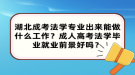 湖北成考法學(xué)專業(yè)出來能做什么工作？成人高考法學(xué)畢業(yè)就業(yè)前景好嗎？