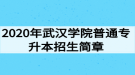 2020年武漢學(xué)院普通專升本招生簡章