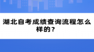 湖北自考成績(jī)查詢流程怎么樣的？