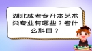 湖北成考專升本藝術(shù)類專業(yè)有哪些？考什么科目？