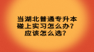 當湖北普通專升本碰上實習怎么辦？應該怎么選？