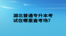 湖北普通專升本考試在哪里查考場？