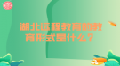 湖北遠(yuǎn)程教育的教育形式是什么？