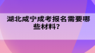 湖北咸寧成考報名需要哪些材料？