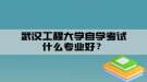 武漢工程大學自學考試什么專業(yè)好？