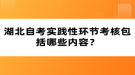 湖北自考實(shí)踐性環(huán)節(jié)考核包括哪些內(nèi)容？