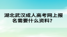 湖北武漢成人高考網上報名需要什么資料？