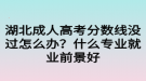 湖北成人高考分?jǐn)?shù)線沒過(guò)怎么辦？什么專業(yè)就業(yè)前景好