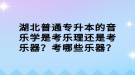 湖北普通專升本的音樂(lè)學(xué)是考樂(lè)理還是考樂(lè)器？考哪些樂(lè)器？