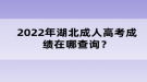 2022年成湖北成人高考績(jī)?cè)谀牟樵儯? style=