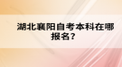 湖北襄陽自考本科在哪報名？