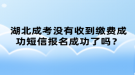 湖北成考沒有收到繳費成功短信報名成功了嗎？