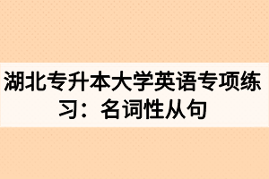 湖北專升本大學(xué)英語專項練習(xí)：名詞性從句