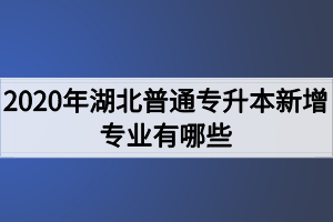 2020年湖北普通專(zhuān)升本新增專(zhuān)業(yè)有哪些？