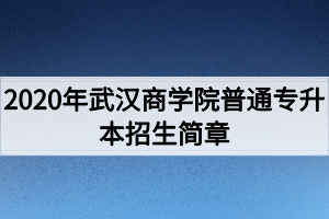 2020年武漢商學(xué)院普通專升本招生簡章