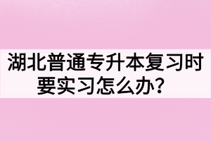 湖北普通專升本復(fù)習(xí)時要實習(xí)怎么辦？