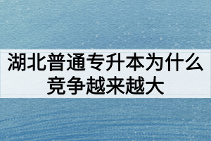 湖北普通專升本為什么競爭越來越大難度越來越高？