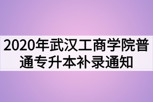 2020年武漢工商學(xué)院普通專(zhuān)升本補(bǔ)錄通知