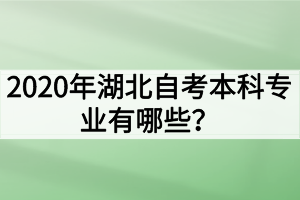 2020年湖北自考本科專業(yè)有哪些？哪些專業(yè)的就業(yè)前景好