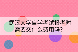 武漢大學自學考試報考時需要交什么費用嗎？