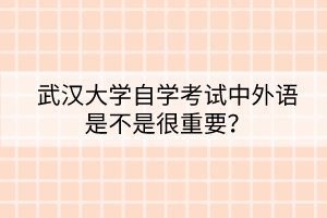 武漢大學(xué)自學(xué)考試中外語是不是很重要？