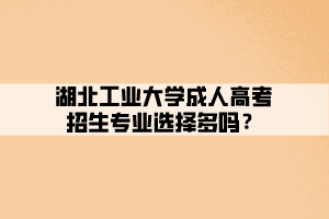 湖北工業(yè)大學(xué)成人高考招生專業(yè)選擇多嗎？