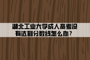 湖北工業(yè)大學(xué)成人高考沒有達(dá)到分?jǐn)?shù)線怎么辦？