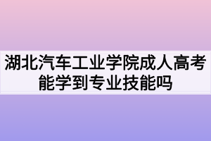 湖北汽車工業(yè)學(xué)院成人高考能學(xué)到專業(yè)技能嗎？