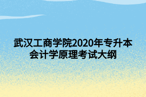 武漢工商學(xué)院2020年專升本會計(jì)學(xué)原理考試大綱