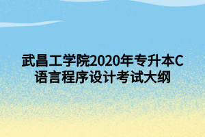 武昌工學(xué)院2020年專升本C語言程序設(shè)計考試大綱