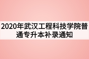 2020年武漢工程科技學(xué)院普通專升本補錄通知