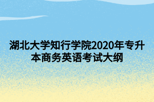 湖北大學(xué)知行學(xué)院2020年專(zhuān)升本商務(wù)英語(yǔ)考試大綱