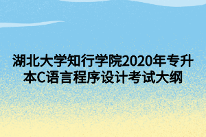 湖北大學(xué)知行學(xué)院2020年專升本C語(yǔ)言程序設(shè)計(jì)考試大綱