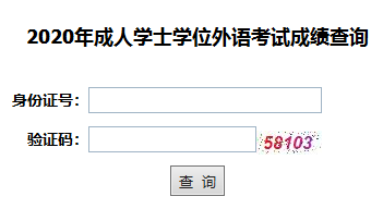 2020年湖北成人高考學(xué)位英語(yǔ)成績(jī)查詢(xún)?nèi)肟谝验_(kāi)通