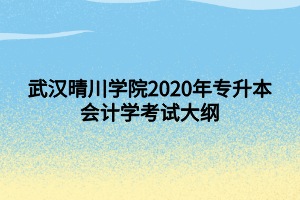 武漢晴川學(xué)院2020年專升本會計學(xué)考試大綱