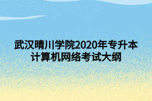 武漢晴川學(xué)院2020年專(zhuān)升本計(jì)算機(jī)網(wǎng)絡(luò)考試大綱